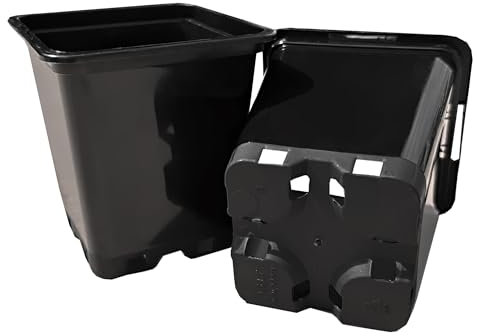 Growcery Heavy Duty Square Plastic Plant Pots - Extra Thick Sturdy Black Nursery Containers for Indoor Outdoor Gardening, Available in 0.5L, 1L, 2L, 3.5L, 5L, 6.5L, 7L, 11L, 14L, 18L & 25L (5, 0.5L)