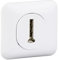 Schneider Electric - Ovalis - Prise téléphone en T - 8 contacts avec plaque Blanc - S260496