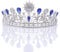 ROSENICE Diadem Hochzeit Krone Tiara Braut Strass Haarreifen