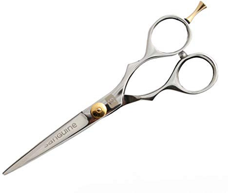 Ciseaux de Coupe de Cheveux Ultra Tranchants - Réduit les Pointes Fourchues - Convient à Tous les Types de Cheveux - 14 cm - Étui Inclus