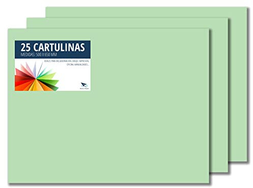 RAYLU PAPER – Tonpapier 50 x 65 cm, 25 Stück Kartonpapier 180g/m², 210 x 297 mm, professionelle farbige Kartons für Büro, Kopierpapier, Buntes Papier zum Basteln (Apfelgrün)