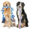 GaiusiKaisa Toys de Corde pour Chiens pour Grosse et Moyen agressifs maillers, Couleurs Vives Jouet de Corde Robuste pour Grande Race, 100% Coton Chiot Maille