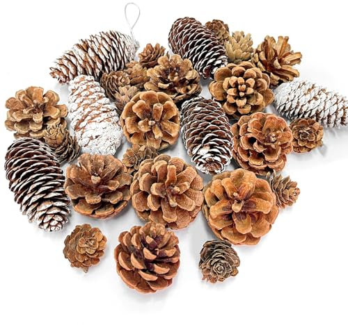 28 Stück Weihnachten Tannenzapfen, natürlichen Schnee Tannenzapfen Deko mit String Anhänger Handwerk, Tannenzapfen für Weihnachtsbaum, adventskranz