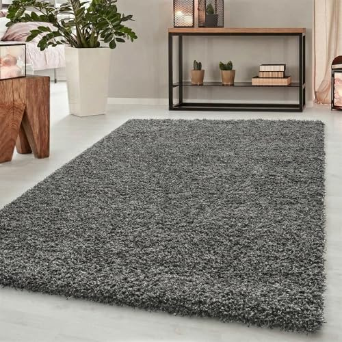 Abaseen Soft Thick Plain Shaggy Living Room Area Rug, Dark Grey, 120x170cm
