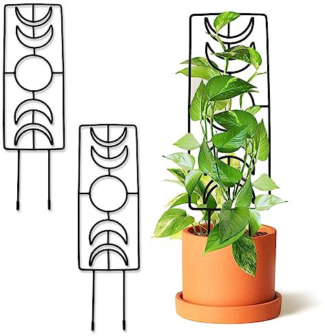 Tuitessine Mondphasen-Pflanzen-Rankgitter für Kletterpflanzen, für den Innen- und Außenbereich, 43,7 cm, kleiner Garten, Metalldraht, Rankgitter für VineIvy, Blumentopfpflanzen, 2 Stück