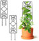 Tuitessine Mondphasen-Pflanzen-Rankgitter für Kletterpflanzen, für den Innen- und Außenbereich, 43,7 cm, kleiner Garten, Metalldraht, Rankgitter für VineIvy, Blumentopfpflanzen, 2 Stück