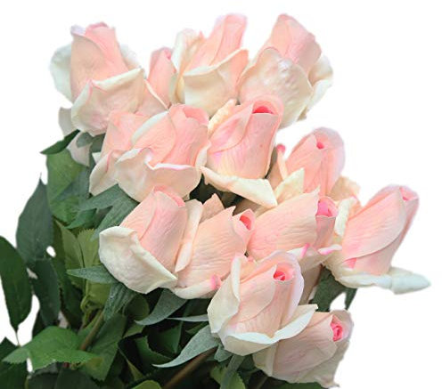 cn-Knight 12pcs Künstliche Rose Blumen,56m Seidenblume mit Blättern and Gel-beschichtete Blütenblätter,für Hochzeit,Brautstrauß,Heimdekoration,Einweihungsgeschenk,Mittelstück,Champagner