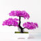 Bonsai artificiale, pianta finta in vaso, bonsai artificiale, decorazione per la casa per ufficio, cortile, scrivania