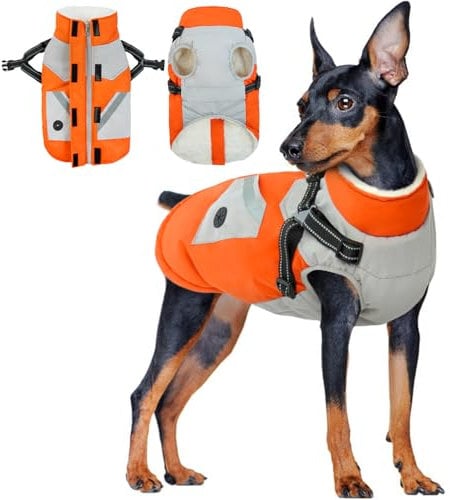 Hundejacke Kleine Hunde, Hundemantel Wasserdicht Warme Winter Hundejacke mit Geschirr Wintermantel für Kleine Hunde Warme Kleidung Chihuahua Französische Bulldogge Mantel(Orange, XS)