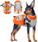 Hundejacke Kleine Hunde, Hundemantel Wasserdicht Warme Winter Hundejacke mit Geschirr Wintermantel für Kleine Hunde Warme Kleidung Chihuahua Französische Bulldogge Mantel(Orange, XS)