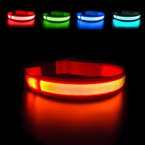 MASBRILL Leuchthalsband Hund, Hundehalsband Leuchtend Aufladbar USB-C, LED Halsband für Hunde Einstellbare Wasserdicht, Halsband Hund Leuchtend 3 Lichtmodi für Kleine Mittlere Große Hunde(Orange M)