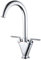 Kitchen Mixer Tap Dual Lever Monobloc Swivel Spout Chrome Sink Taps Brass with UK Standard Fittings