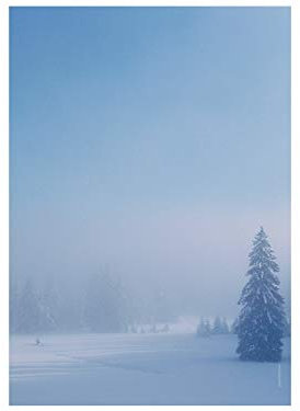 Weihnachtsbriefpapier | Tanne im Schneewald | 100 Blatt Motivpapier DIN A4