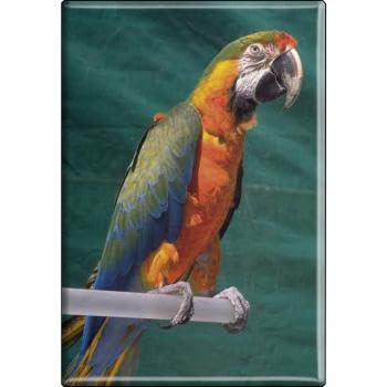 TIERMAGNET - Vogel Papageien - Gr. ca. 8 x 5,5 cm - 37242 - Küchenmagnet