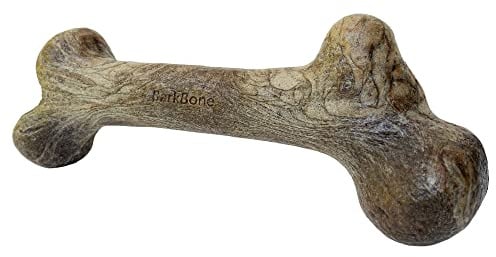 Pet Qwerks Dinosaur Wood BarkBone – Durable Peanut Butter Flavoured Dog Chew Toy for Aggressive Chewers - Large