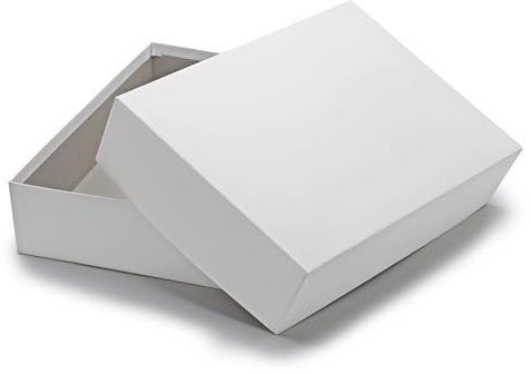 NEUSER PAPIER Geschenkbox mit Deckel DIN A4 – Aufbewahrungsbox Karton Hellgrau bezogen – Geschenkkarton Schachtel stapelbar 302 x 213 x 70 mm, 2 Stück