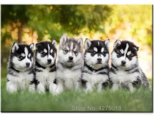 Groß 5D Diamant Malerei Set, Süße Husky-Brüder 25x50cm DIY Diamant Gemälde Kreuzstich Kit, Diamant Painting Bilder, Crystal Strass Stickerei Kunst Basteln Diamond Painting für Wanddekoration