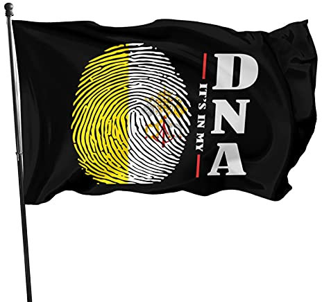 Bandiera Di Benvenuto È Nel Mio Dna Bandiera Della Città Del Vaticano 90X150Cm Bandiera All'Aperto Durevole Bandiera Vacanza Multicolore Bandiera Da Giardino Decorazione Per Interni Fattoria