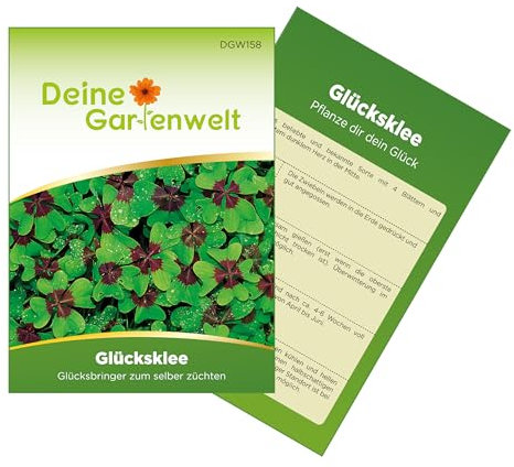 Glücksklee Zwiebeln - Vierblättriger Klee Samen - Oxalis deppei - Glückskleezwiebeln - Glücksbringer zum selber Pflanzen - Geschenkidee - 3 Zwiebeln