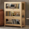 Vitrine de curiosités, vitrine en verre acrylique, armoire de rangement haute capacité avec porte rabattable, bibliothèque et bibliothèque pour salle de jeux, chambre à coucher, vitrine de trophées (