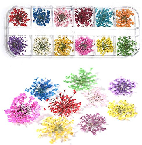 Dry Flower Nail Art, Real Flowers for Nails, 3D Nails Stickers with Nature Dry Flowers 12 Color 36 Pcs