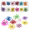 Dry Flower Nail Art, Real Flowers for Nails, 3D Nails Stickers with Nature Dry Flowers 12 Color 36 Pcs
