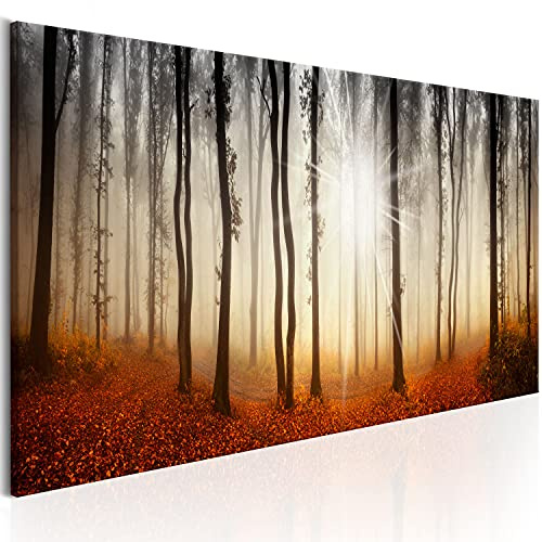 B&D XXL Acrylglasbild Wald 120x40 cm 1 Teilig Wandbild auf Acryl Glasbilder Kunstdruck Moderne Acrylglas Platte Wanddekoration Geschenke Heimdekoration Glasbild Landschaft Panorama Baum Herbst Nebel