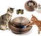 Katzen Kratzbrett,Magic Organ Cat Scratching Board, 2-in-1 Cat Kratzbrett mit Glöckchen, Foldable Convenient Cat Scratcher Durable Recyclable, Cat Scratcher Cardboard House