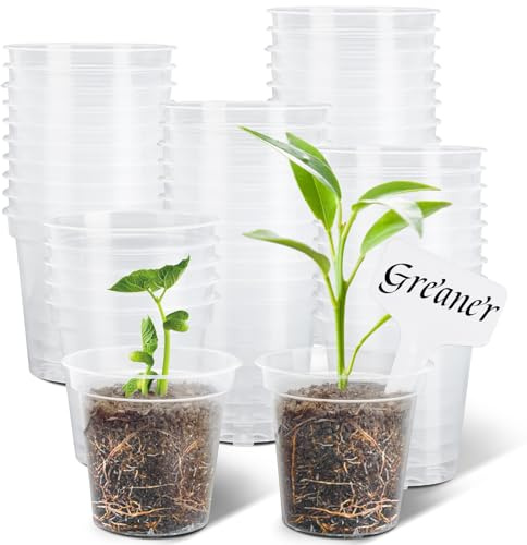 GREANER 60 Packungen transparente Pflanztöpfe, 7,6 cm Kunststofftopf mit Drainagelöchern, verstärkter Blumensamen-Startertopf für Innen- und Außenbereich, mit 20 Pflanzenetiketten – Transparent