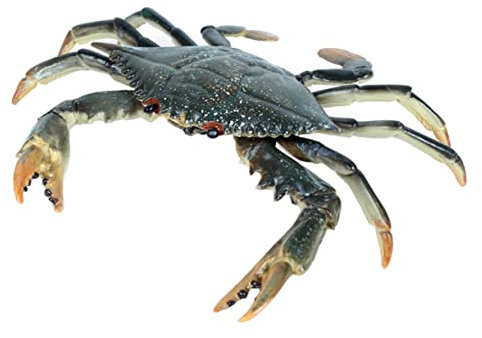 YARNOW 3 Pièces Portunid Solide Poisson Crabe Cage Boîte Décor Océan Sable Coquilles Vide Simulation Réservoir Modèle d'animal Marin Réaliste Artisanat D'aquarium Plastique