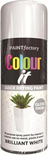 Colour It Brilliant White Quick Drying Paint, Multi-Surface, Gloss Finish, Smooth Coverage, Durable, Rust-Resistant, Long-Lasting, Ideal for Doors, Gates, Railings & Furniture, 400ml (Pack of 1)