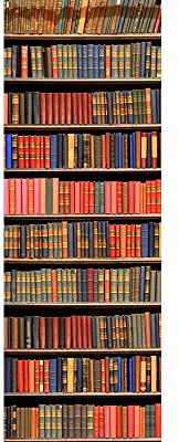 awallo Dekopanel Motiv Bücherregal in den Farben Braun Rot Grün in 100 x 280 cm Fototapete mit Büchern auf Vliestapete Made in Germany einfache und schnelle Verarbeitung