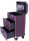 Extra Lager Luxury Leather Hairdressing Make up Beauty Trolley Case -Rolling Trolley Makeup Beauty Train Carry Case Cosmetics Art Cosmetic Box (Purple)