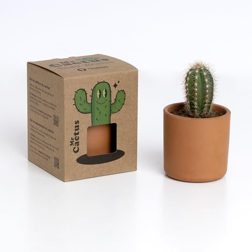 Kit de Cultivo de Cactus Resetea – Fácil de Cuidar, Purifica el Aire y Decora con Vida y Color – Perfecto para Amantes de la Naturaleza y Regalos Originales