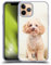 Head Case Designs Sitzender Weisser Pudel Beliebteste Hunderassen Softgelhülle Kompatibel Mit Apple iPhone 11 Pro Und Kompatibel Mit Magsafe Zubehör