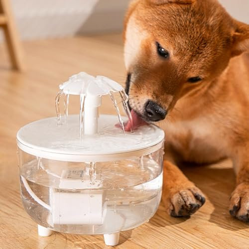 Fontaine à eau pour animaux de compagnie de 1 L, fontaine blanche à piles pour animaux de compagnie, fontaine à eau pour chat, distributeur automatique de style , fontaine à eau silencieuse pour