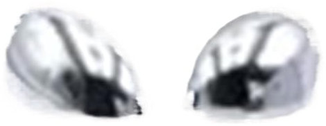 Spiegelkappen Außenspiegel Für Mini R50 R52 R53 2001-2006 Chrom Außenspiegelkappe Rückspiegeldeckel 489120050 2 Stücke Auto Rückspiegelabdeckung Rückspiegelkappe