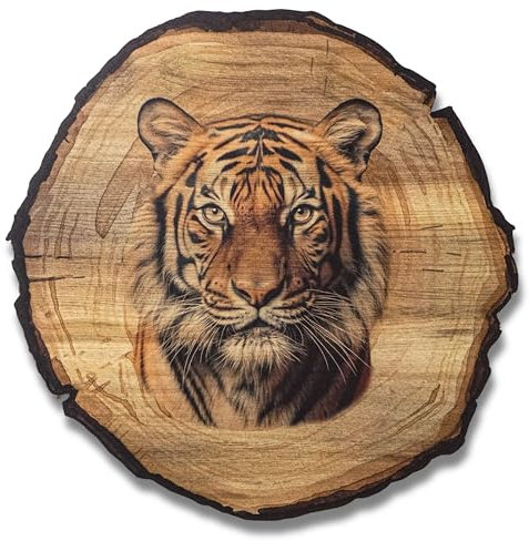 DARO Design - Wandbild Tiger Größe 20cm - Kunstdruck aufhängefertig - Wanddekoration Thema Jagd, Natur, Tiere