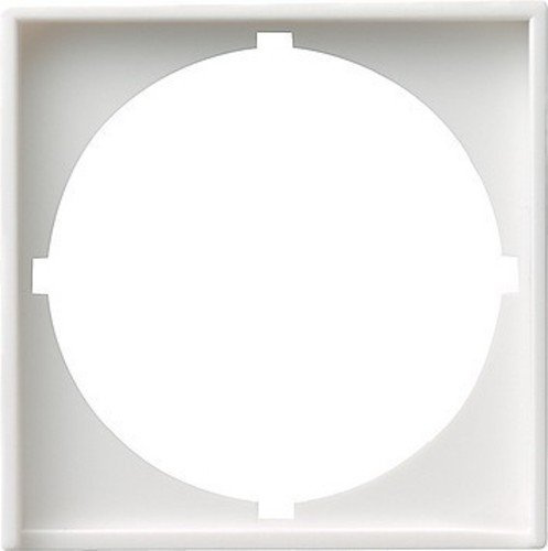 Gira Zentralplatte rws-gl 028103