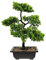 Künstlicher Bonsai-Baum in Dunkelgrün Pflegeleicht Kunstpflanze Für Die Tischdekoration Im Homeoffice