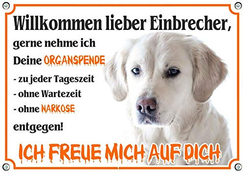 Hundeschild Golden Retriever - Warnschild Organspende - wetterfest FUNSCHILD, DIN A4