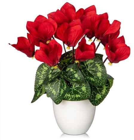 Oairse Artificial Cyclamen Flowers Plant Potted Fake Silk Flowers Plants in White Pot Faux Red Cyclamen Flower Arrangement Home Decor Office Bathroom Shelf Desk Decoration