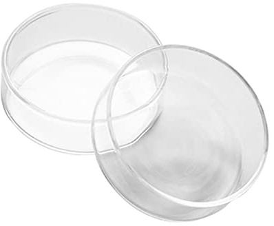 CONGARTENO Piatto Servizio Trasparente in Vetro Mini per Dolci e Torte Design e per Buffet Feste e Cene Familiari Resistente e Versatile per Cucina