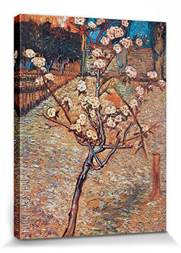 1art1 Vincent Van Gogh Poster Blühender Birnbaum, 1888 Bilder Leinwand-Bild Auf Keilrahmen | XXL-Wandbild Poster Kunstdruck Als Leinwandbild 40x30 cm