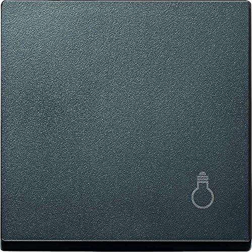Merten MEG3302-0414 Wippe mit Kennzeichnung Licht, anthrazit, System M