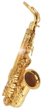 SCTOU Saxophon Einsteiger-Blasinstrument Für Es-Alt-Saxophon