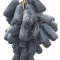 Tafeltraube Weintrauben Kernlos Winterhartes,Weinreben Winterhart,Tafel-Trauben,Trauben Kernlos Pflanzen Winterhart Traubenwurzel Pflanze,Lebende Pflanzen,Weinreben,-1 Weinreben pflanzen-D