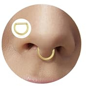 Lantine Nasenpiercing Ring 16g Septum Piercing Chirurgenstahl Daith Conch Piercing Nasenring Gold Silber Schwarz Segmentring Clicker Spetum Rings Helix Tragus Rook Piercings Ohr 6/8/10mm