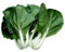 250+ Pak Choi blanca del tallo Semillas