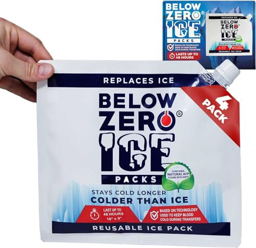 Below Zero Medium Reusable Ice Packs for Coolers – Long Lasting Cooler Ice Pack Blocks, Leak-Proof Freezer Packs for Camping, Lunch Boxes & Travel – Medium 10”x9” (4-Pack)